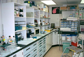 research lab