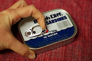 can of sardines